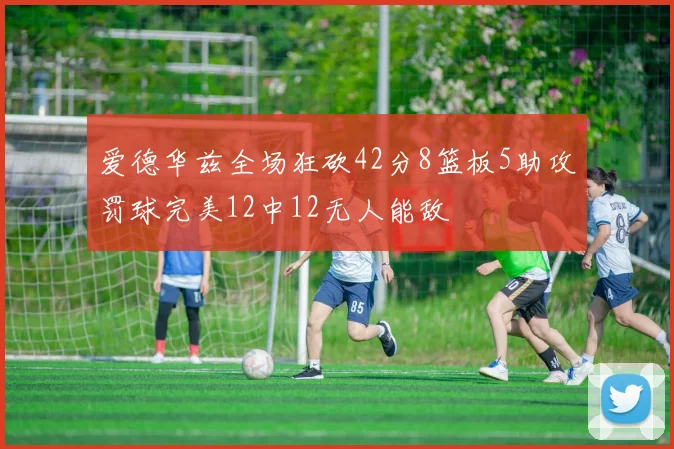 爱德华兹全场狂砍42分8篮板5助攻罚球完美12中12无人能敌