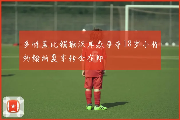 多特莱比锡勒沃库森争夺18岁小将约翰纳夏季转会在即